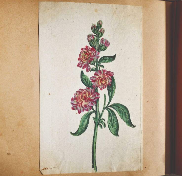 Marie Anne Hencké, Album de dessins, ca. 1780–1850,watercolour and pencil on paper