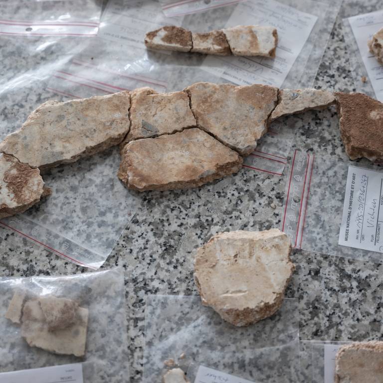 Fragments of the mosaic